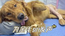 實在令人氣憤，我要為Siri發(fā)聲！