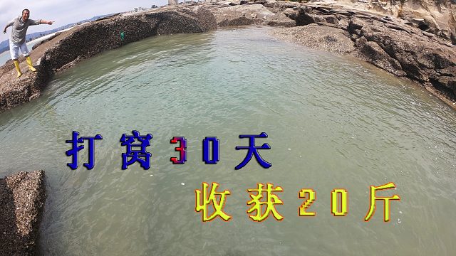 打窝30天连撒200斤猪血3个牛肺的600平巨坑，收获20斤海货，值了