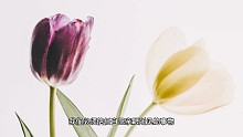 讀懂哲學(xué)之有聲讀物51