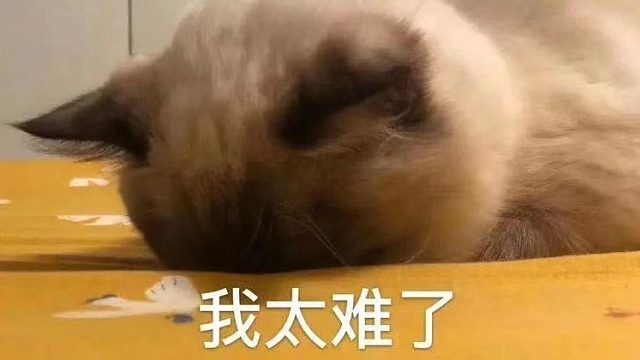 【经典战役Top250】（中）完美的一局~4v5劣势局直播间内顶住舆论舌战群儒~场上处乱不惊从容应战