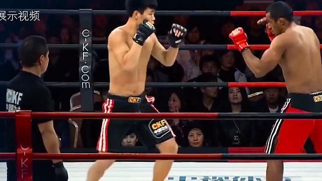 综合格斗精英赛