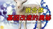 與動物雜交？人類對嵌合體的研究，以及基因改造的歷史