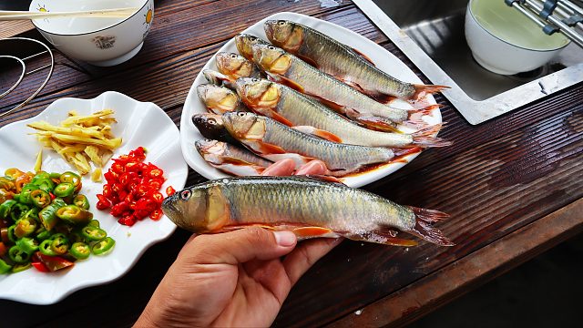 条条20厘米以上，巨型马口狠狠吃一顿