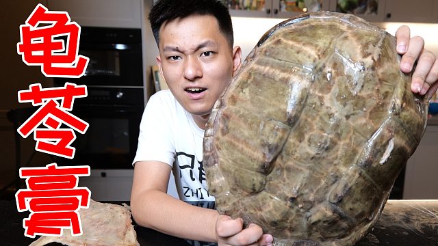 花一百小时把十五斤大龟壳做成龟苓膏！一口下去直接翻白眼！