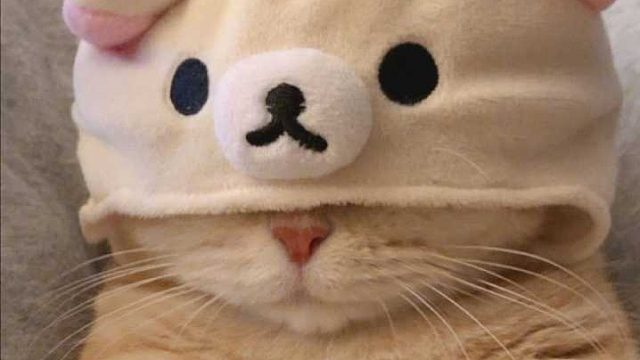 秦王绕柱一打三