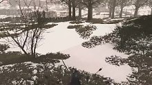 騎馬與砍殺2之我以為我很行