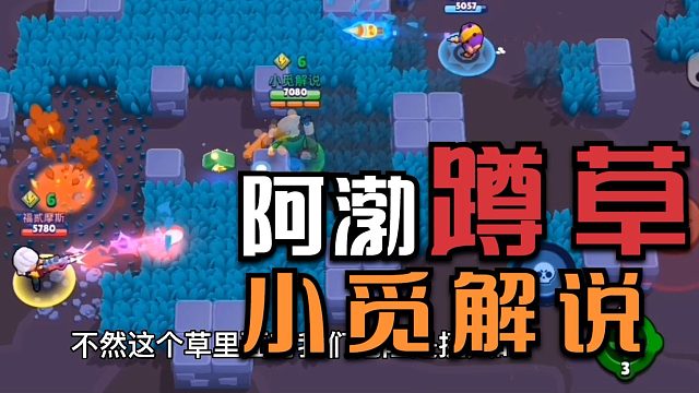 荒野乱斗小觅解说:阿渤蹲草奇遇走位可以有但没必要