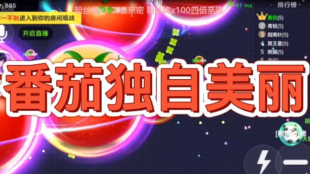 [七七]番茄独自美丽