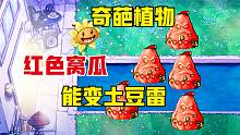 【白手】改版植物大战僵尸：窝瓜竟然能变成土豆雷，这个版本真神奇