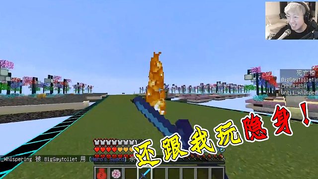 你还跟我玩隐身？！#小小像素#