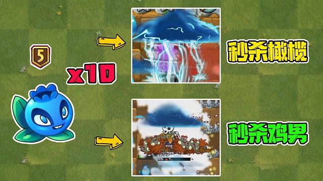 植物大战僵尸：10个五阶电击蓝莓！秒天秒地秒空气，僵尸直接化为灰烬！