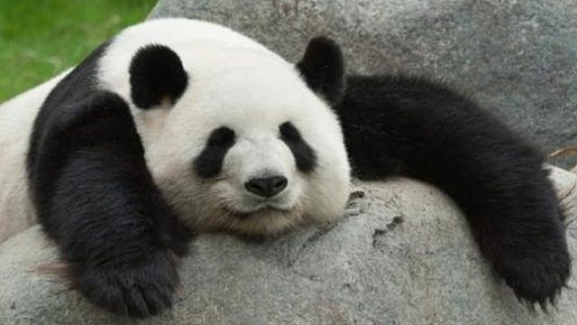 【Innovation】（下）“爱新觉罗 ·乾大哥”下江南的真实原因解密~~~~