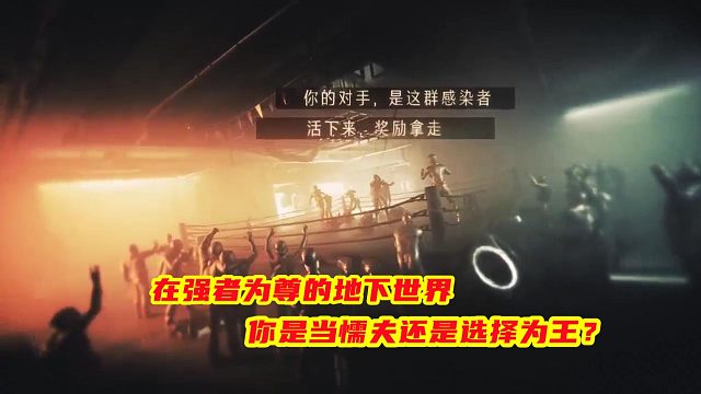 在强者为尊的地下世界，你是当懦夫还是选择为王？