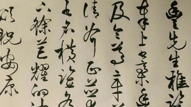 输出全靠吼，打到全靠蒙~~输出全靠吼，打到全靠蒙~~-片段1