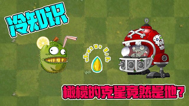 植物大戰(zhàn)僵尸：大嘴的冷知識！菠蘿蜜竟是橄欖克星？小弟：不愧是蜜帝！