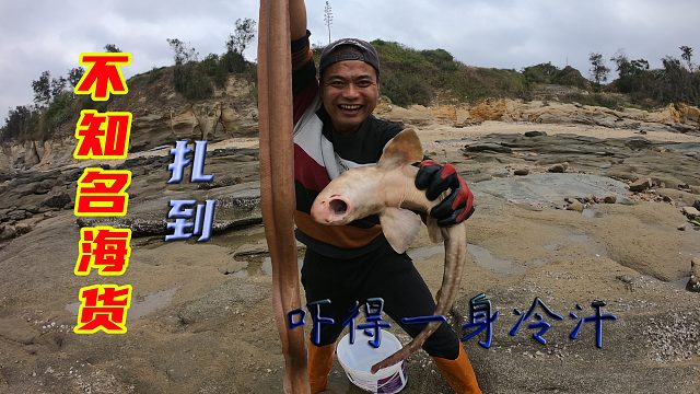 300平大坑投入30斤秘制饵料，大熊被不知名海货扎了，吓得一身冷汗