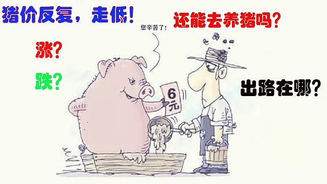 今年养猪到底赚不赚钱，还适不适合去养，看完就什么都明白了！
