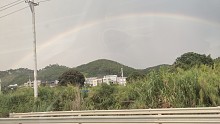 风雨过后见彩红