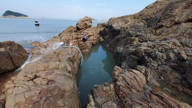 台风刚过水坑里的海鲜真让人眼馋，小明迫不及待跳进水中生擒大鱼