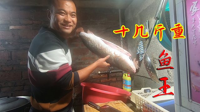 十几斤重的超大鱼王这样做，肉质紧实还很鲜，十几个人才吃得完