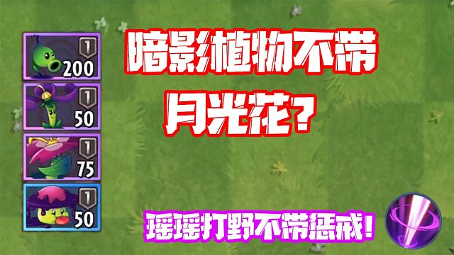 植物大战僵尸：暗影植物不带月光花？这不是给大嘴送人头吗