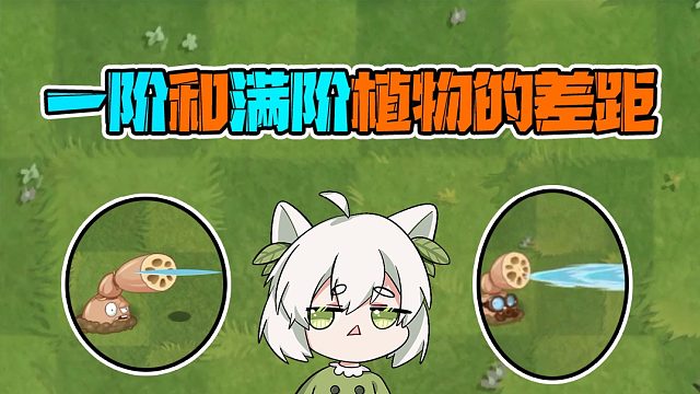 植物大战僵尸：一阶和满阶植物的差距！请问五阶莲藕是水龙头吗？