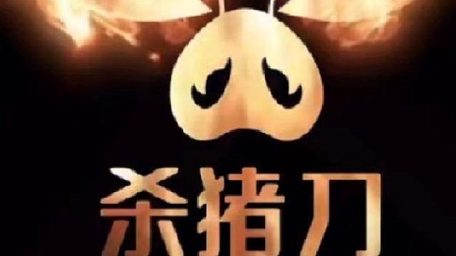 被人追杀了