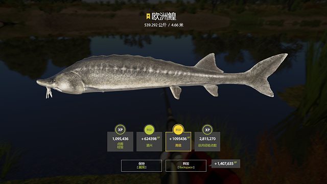 圆梦星鳇起鱼片段