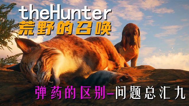 《theHunter: Call of the Wild荒野的召唤》弹药的区别 问题总汇九