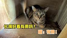 長(zhǎng)得好看就是不一樣，才兩天沒出鏡就被網(wǎng)友惦記了，看臉的時(shí)代呀