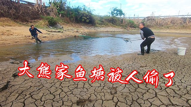 大熊家的鱼塘被人偷了，检查后损失惨重，气得大熊要装监控