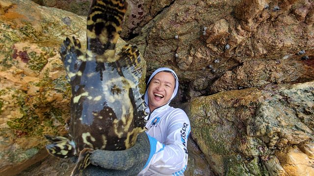 之前看不上的水坑，小明用水下相机一探究竟，没想到是海货的老巢