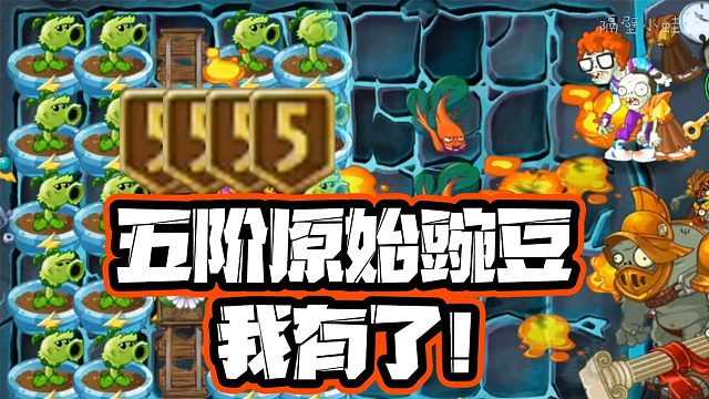 植物大战僵尸：有了5阶原始豌豆第一件事？暴揍6阶僵尸！