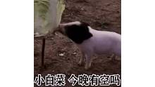 一