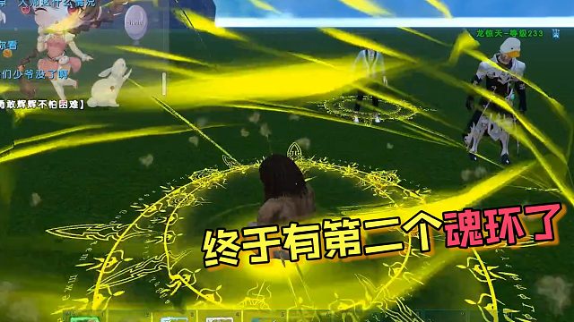 【星辉】第二个魂环