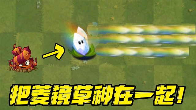 植物大战僵尸：把菱镜草种在一起，它会变成“加特林”吗？