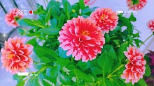 生活中的美好瞬間