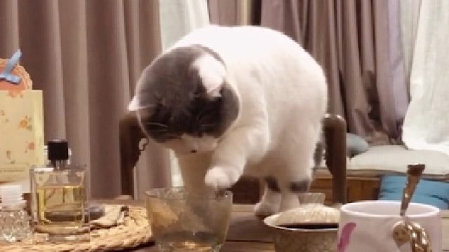 它喵的，气死我了！