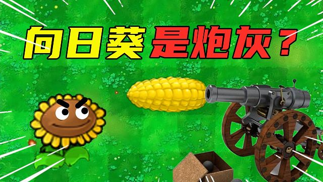 植物大战僵尸01：向日葵居然是炮灰？