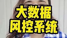 大数据，风控系统