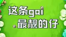 我就是這條街最靚的仔