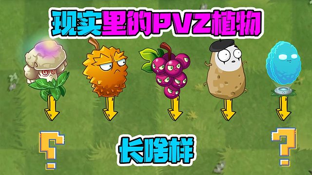 植物大战僵尸：现实里的PVZ植物长啥样？你确定这是变身茄子？