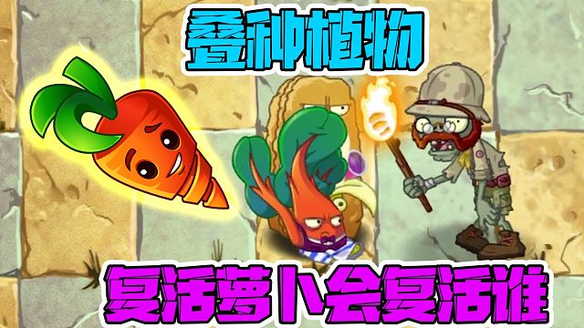 植物大戰(zhàn)僵尸：當(dāng)你把7個(gè)植物疊種起來(lái)！復(fù)活蘿卜會(huì)復(fù)活誰(shuí)？