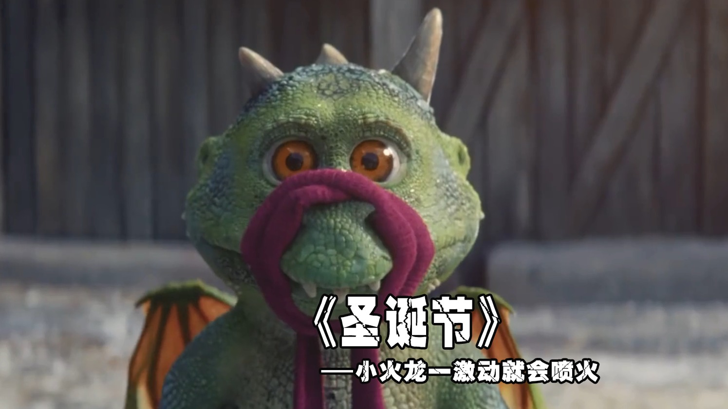 暗黑童话《训兔记》，这个班级全是兔子，唯一的两个人类成了怪物