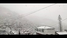 雪花飘飘