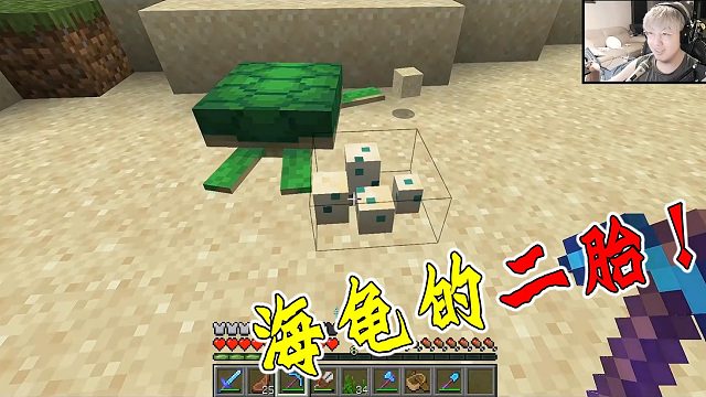 海龟下蛋现场，不小心踩烂了海龟蛋 #小小像素#