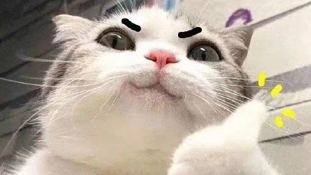 我东皇一釦依个小鹏呦10