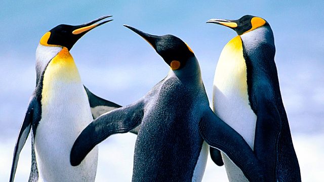 万物皆可中    -----片段