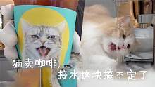 奶油家：貓咖啡館開張了，DiDi貓卻剛開始學(xué)習(xí)使用凈水器??？