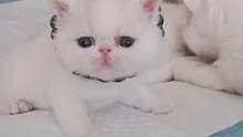 我發(fā)布了一個(gè)新視頻，快來(lái)圍觀吧！